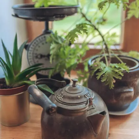 Pansiyon W Stolowych