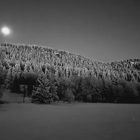 W Stolowych Pansiyon