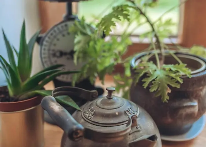 Homestay szállás W Stolowych